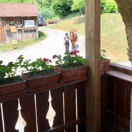 Randis Piano dʼArta