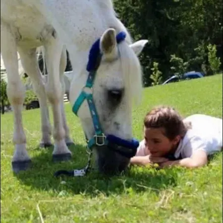 Randis Alojamento de Turismo Rural