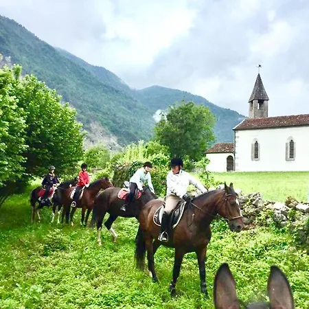 Alojamento de Turismo Rural Randis
