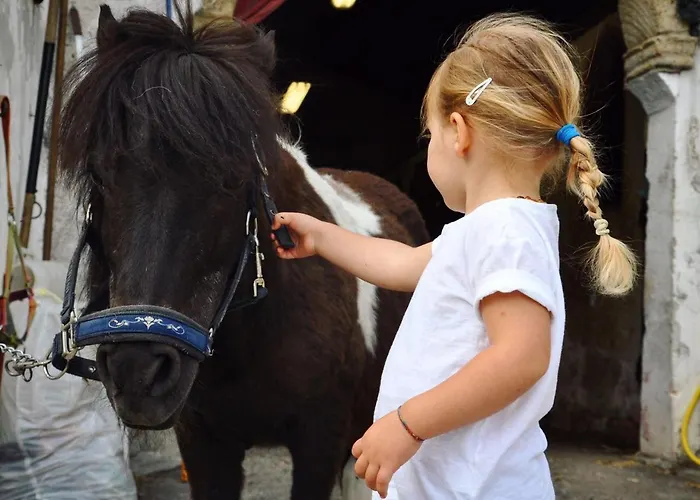 Randis Piano dʼArta