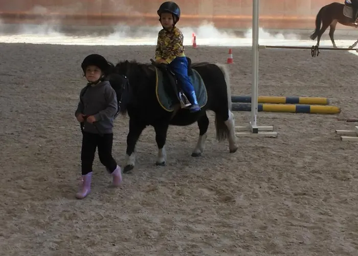 Randis * Piano dʼArta